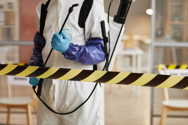 Professional Infectious Disease Decontamination technician working in Brinklow, MD